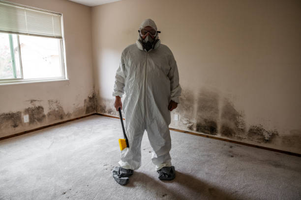 Best Commercial Mold Remediation in Sanford, FL